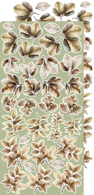 Zestaw dodatków 15x30 Creative Extras - 08 - Leaves #2 CC-CEX-08 Craft O'Clock