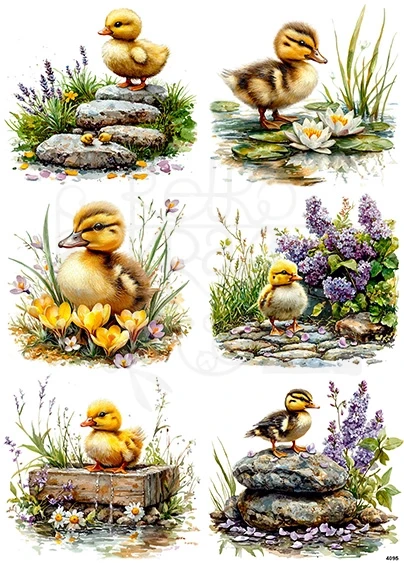 Papier ryżowy do decoupage A4 Wielkanoc - kaczuszka i kwiaty 4095