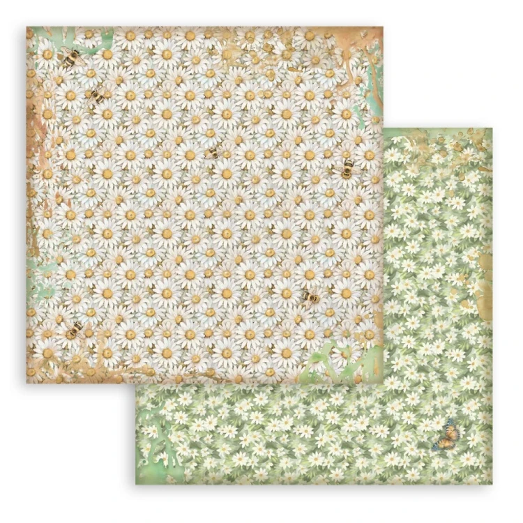 Zestaw papierów do scrapbookingu 20x20 Daisy Art - Tła - 10 arkuszy SBBS139 Stamperia