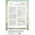 Stempel akrylowy 14x18cm Daisy Art WTK236 Stamperia