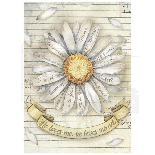 Papier ryżowy A6 Daisy Art 8szt DFSA6X04 Stamperia