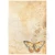 Papier ryżowy A6 Daisy Art 8szt DFSA6X04 Stamperia