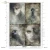 Papier ryżowy do decoupage A4 Twarze i kruki R2720 ITD Collection