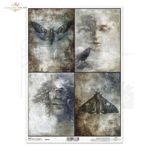 Papier ryżowy do decoupage A4 Twarze i ćmy R2719 ITD Collection