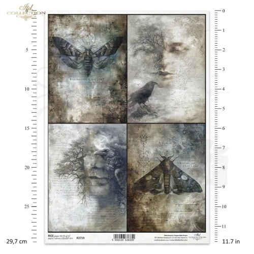 Papier ryżowy do decoupage A4 Twarze i ćmy R2719 ITD Collection