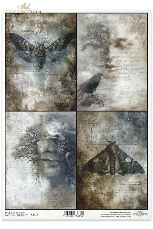 Papier ryżowy do decoupage A4 Twarze i ćmy R2719 ITD Collection