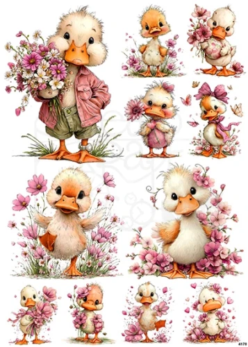 Papier ryżowy do decoupage A4 Gąski 4178