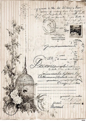 Papier ryżowy do decoupage A4 Grafika - elementy retro i klatka 18337