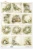 Papier ryżowy do decoupage A3 Wiosna - wianki kwiaty i okna retro R1634L ITD Collection