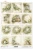 Papier ryżowy do decoupage A4 Wiosna - wianki kwiaty i okna retro R2795 ITD Collection