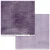 Zestaw papierów do scrapbookingu 30x30 Plume and Petal Solids 8 arkuszy DPP-35063 49 and Market
