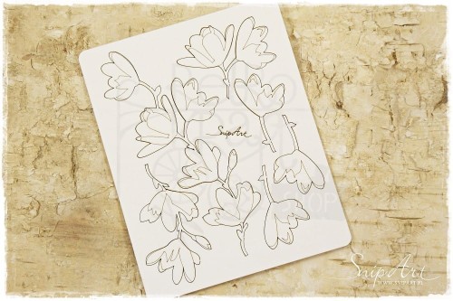 Tekturka Gałązki kwiatów Magnolias SnipArt