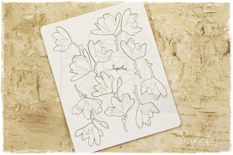 Tekturka Gałązki kwiatów Magnolias SnipArt