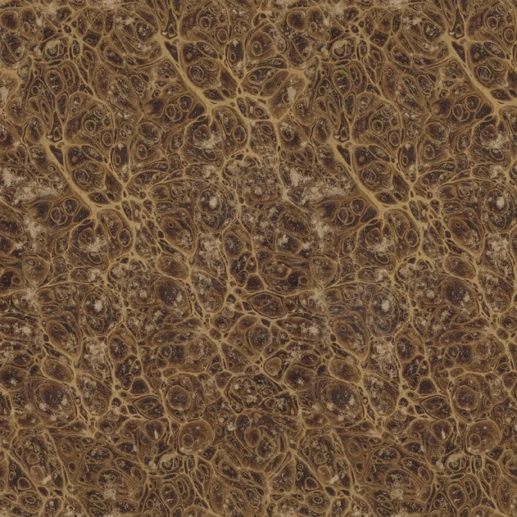 Zestaw papierów do scrapbookingu 20x20 Palette Collection: Neutral 12 arkuszy TH94473 Tim Holtz