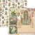 Zestaw papierów do scrapbookingu 20x20 Artemis 12 arkuszy CBH094 Ciao Bella