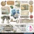 Zestaw papierów do scrapbookingu 15x15 Eastern Journey 24 arkusze CBQE096 Ciao Bella
