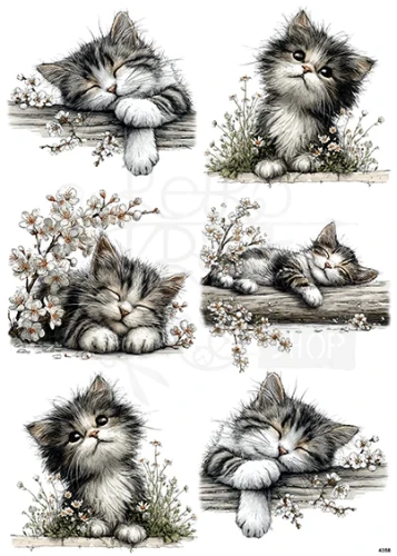 Papier ryżowy do decoupage A4 Kotki 4358