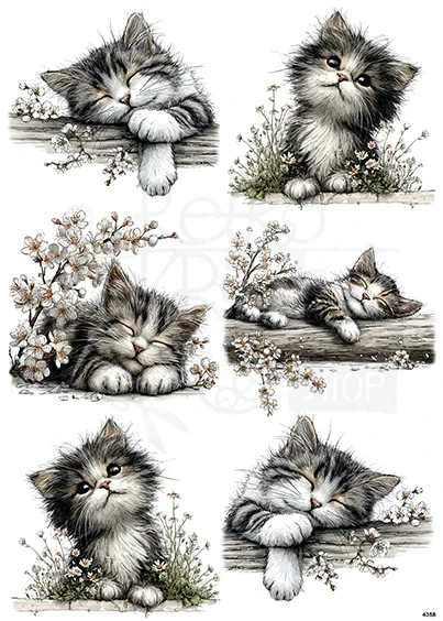 Papier ryżowy do decoupage A4 Kotki 4358