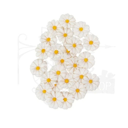 Kwiaty kwiatki papierowe Among The Wildflowers White Meadow 24szt 682439 Prima