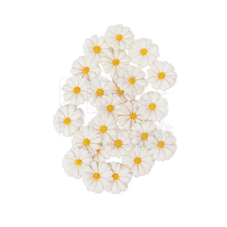 Kwiaty kwiatki papierowe Among The Wildflowers White Meadow 24szt 682439 Prima
