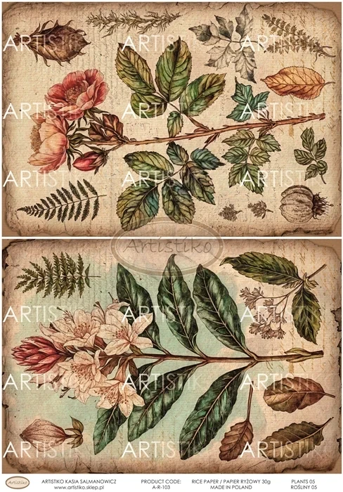 Papier ryżowy do decoupage A4 Rośliny 05 A-R-103 Artistiko