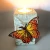 Foremka silikonowa Majestic Butterfly by Katy Sue CE0147-CS Cosmic Shimer