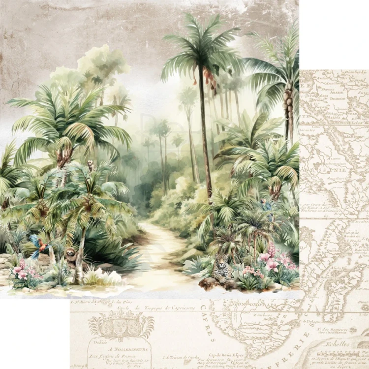 Zestaw papierów do scrapbookingu 20x20 Wild adventures - AA-WA-08 Alchemy of Art