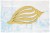 Tekturka Muszelka 2 MDF Tropical Adventure SnipArt
