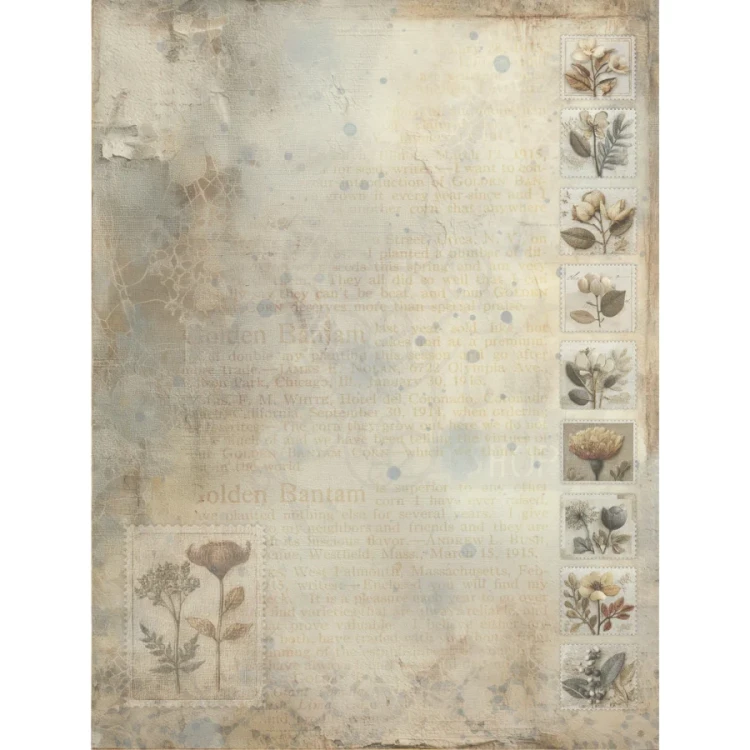 Zestaw papierów do scrapbookingu 15x20 Faded Memory Lane 28 arkuszy FML-35520 49 and Market