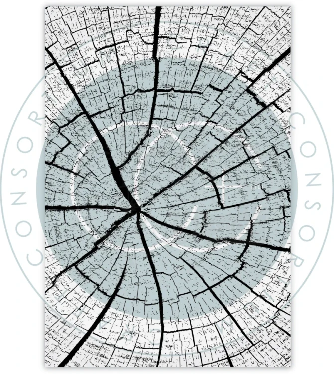 Stempel akrylowy Pień słoje drewna CCESTMP012 Craft Consortium