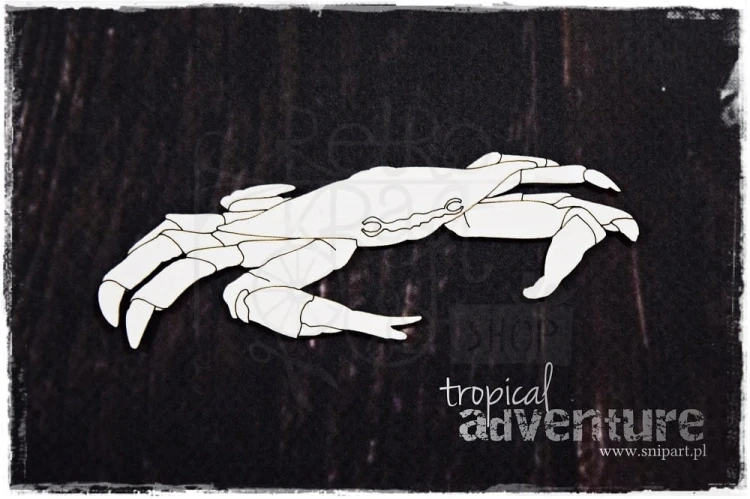 Tekturka Krab Tropical Adventure SnipArt