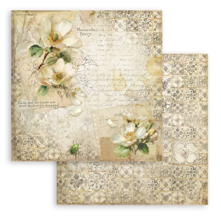 Zestaw papierów do scrapbookingu 20x20 All Around SBBS143 Stamperia