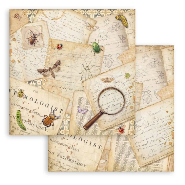 Zestaw papierów do scrapbookingu 20x20 All Around SBBS143 Stamperia
