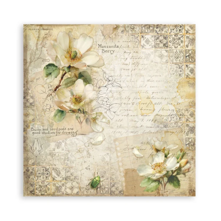 Zestaw papierów jednostronnych do scrapbookingu 20x20 All Around SBBSXB25 Stamperia