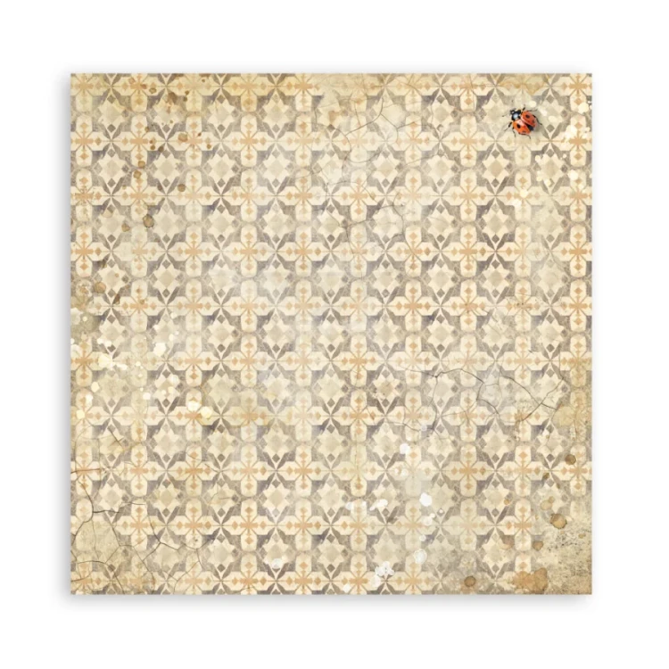 Zestaw papierów jednostronnych do scrapbookingu 20x20 All Around SBBSXB25 Stamperia