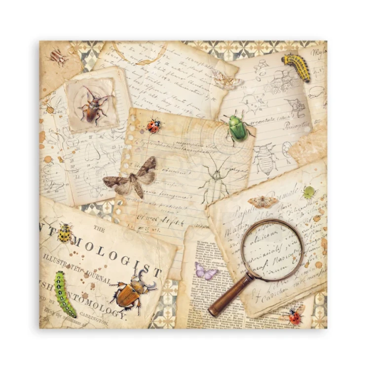 Zestaw papierów jednostronnych do scrapbookingu 20x20 All Around SBBSXB25 Stamperia
