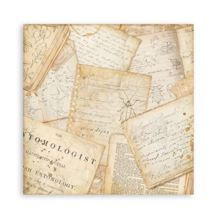 Zestaw papierów jednostronnych do scrapbookingu 20x20 All Around SBBSXB25 Stamperia