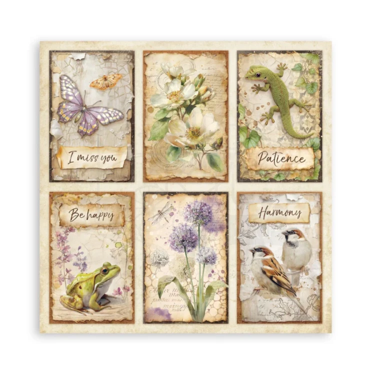 Zestaw papierów jednostronnych do scrapbookingu 20x20 All Around SBBSXB25 Stamperia