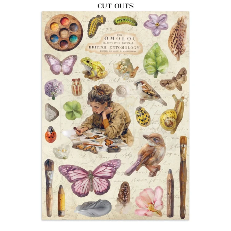 Junk Journal A4 All Around SBJK20 Stamperia