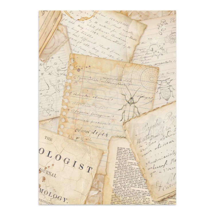 Junk Journal A4 All Around SBJK20 Stamperia