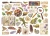 Ozdoby kształty tekturowe Die Cuts All Around 54 szt DFLDC133 Stamperia