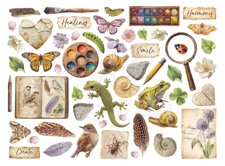 Ozdoby kształty tekturowe Die Cuts All Around 54 szt DFLDC133 Stamperia