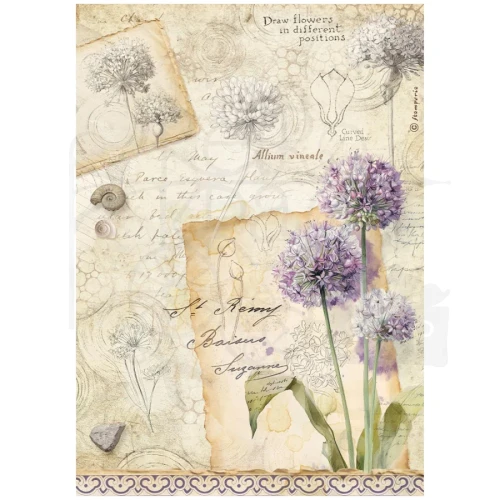 Papier ryżowy do decoupage A4 All Around Czosnek DFSA41122 Stamperia