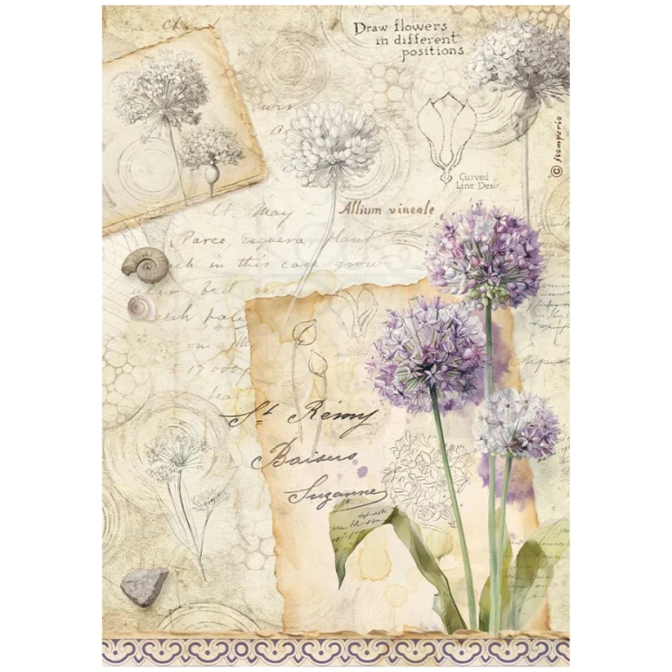 Papier ryżowy do decoupage A4 All Around Czosnek DFSA41122 Stamperia