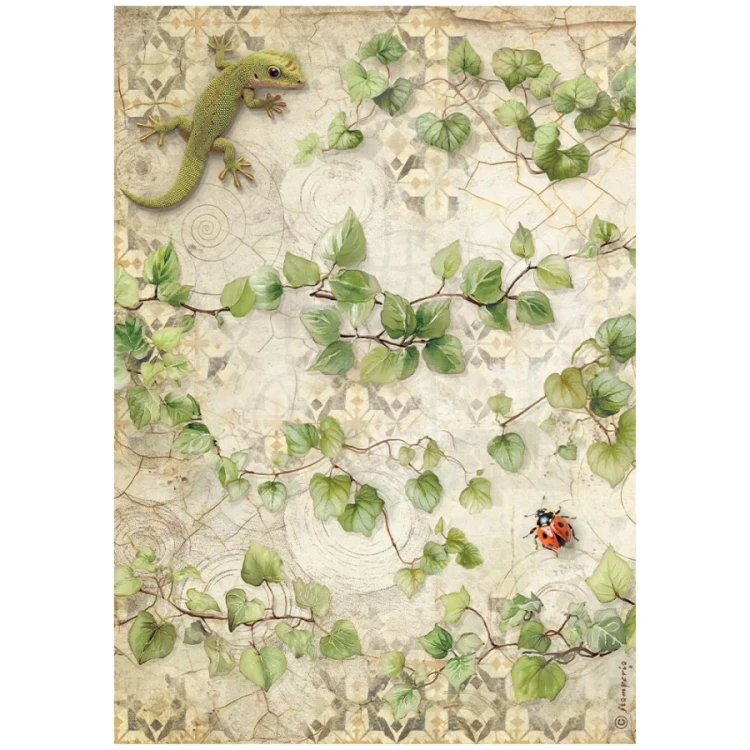 Papier ryżowy do decoupage A4 All Around Bluszcz DFSA41121 Stamperia