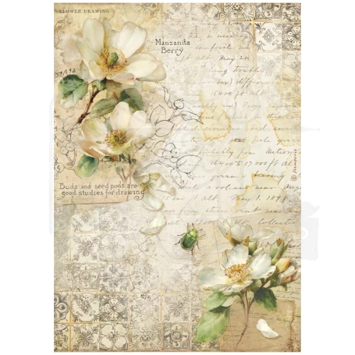 Papier ryżowy do decoupage A4 All Around Kamelia DFSA41120 Stamperia