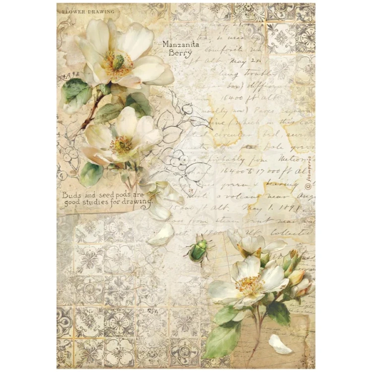 Papier ryżowy do decoupage A4 All Around Kamelia DFSA41120 Stamperia