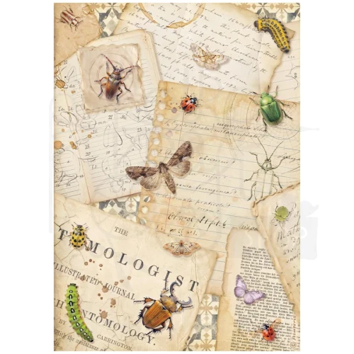 Papier ryżowy do decoupage A4 All Around Listy DFSA41119 Stamperia