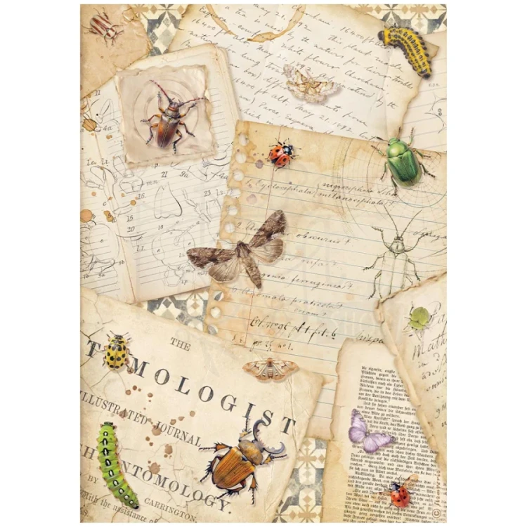 Papier ryżowy do decoupage A4 All Around Listy DFSA41119 Stamperia