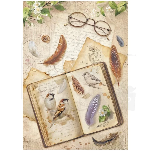 Papier ryżowy do decoupage A4 All Around Książka DFSA41118 Stamperia